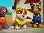 Replay Paw Patrol, la Pat'Patrouille - Comme chiens et chats