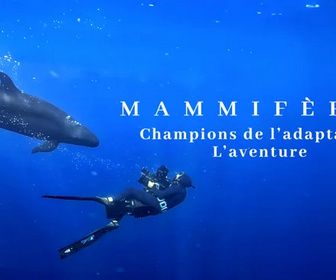 Replay Mammifères - 05/12/2025