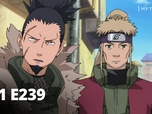 Replay Naruto Shippuden - S11 E239 - InoShikaChô