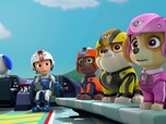 Replay Paw Patrol, la Pat'Patrouille - Le singe de l'espace