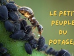 Replay La France en Vrai - Nouvelle-Aquitaine - Le petit peuple du potager