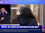 Replay News Box - Météo : de l'hiver au printemps en une nuit ! - 23/11