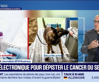 Replay Good Morning Business - La France innove dans la recherche sur le cancer du sein
