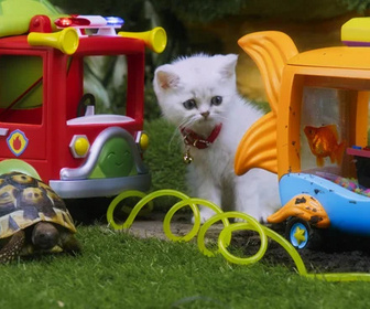 Replay Moustache & Patoune - Comme un poisson dans l'eau