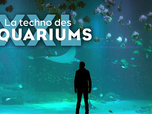 Replay La techno des aquariums XXL