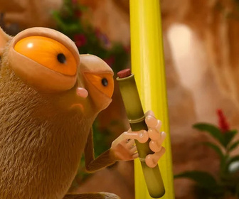 Replay Les as de la jungle à la rescousse - 17/11/2025