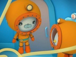 Replay Les Octonauts et la méduse à crinière de lion