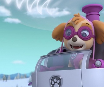 Replay Paw Patrol, la Pat'Patrouille - Le match de hockey