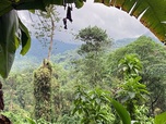 Replay Ouganda : le Rwenzori - Les sommets d'Afrique